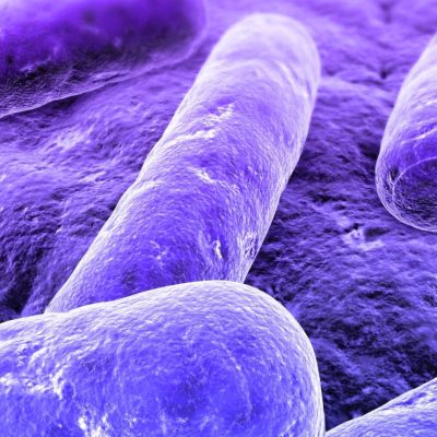 article_antibiotic-resistance