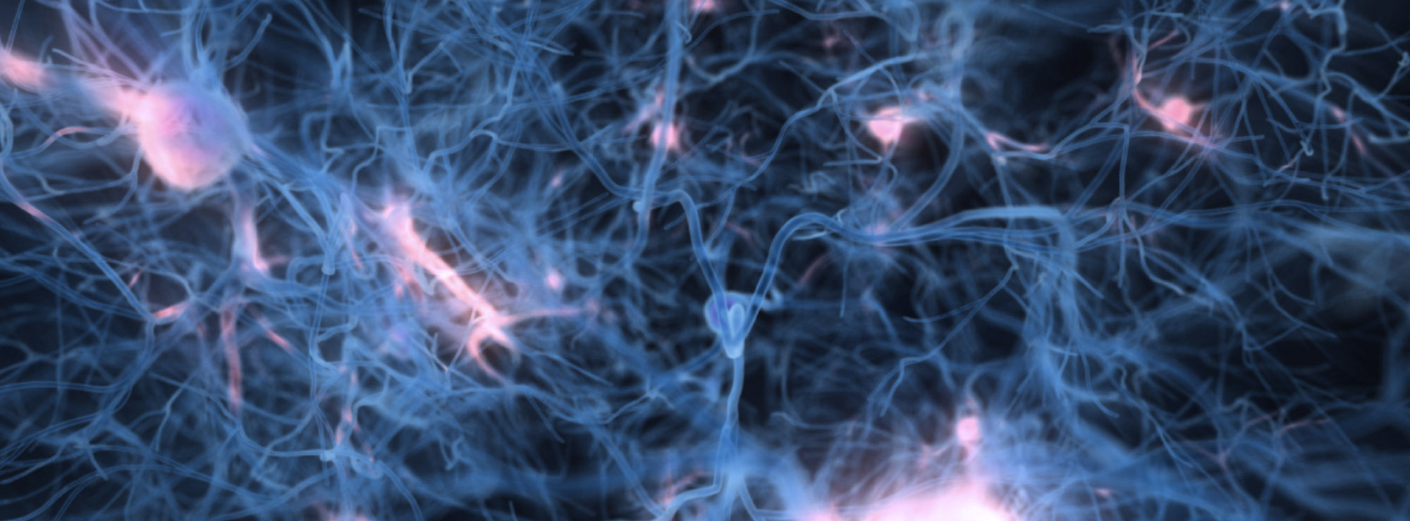 Scientists have created the worlds first artificial neuron 311 Institute