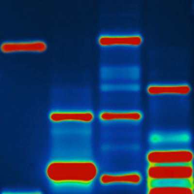 article_dna_encryption
