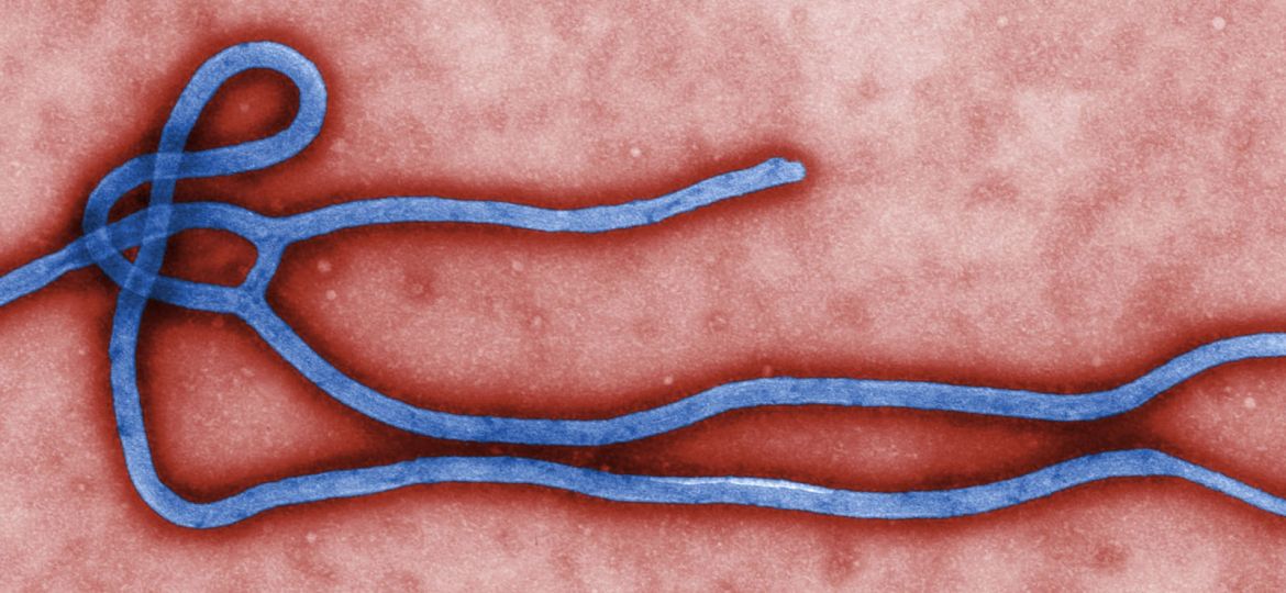 article_ebola