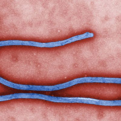 article_ebola
