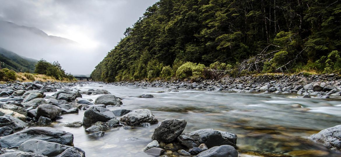 article_nzriver