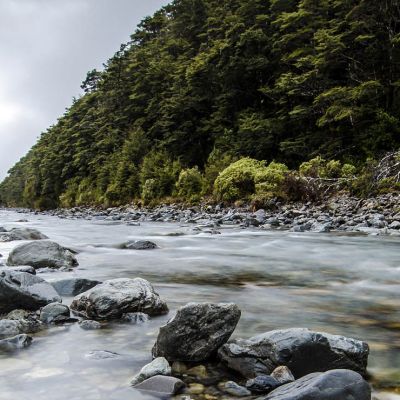 article_nzriver