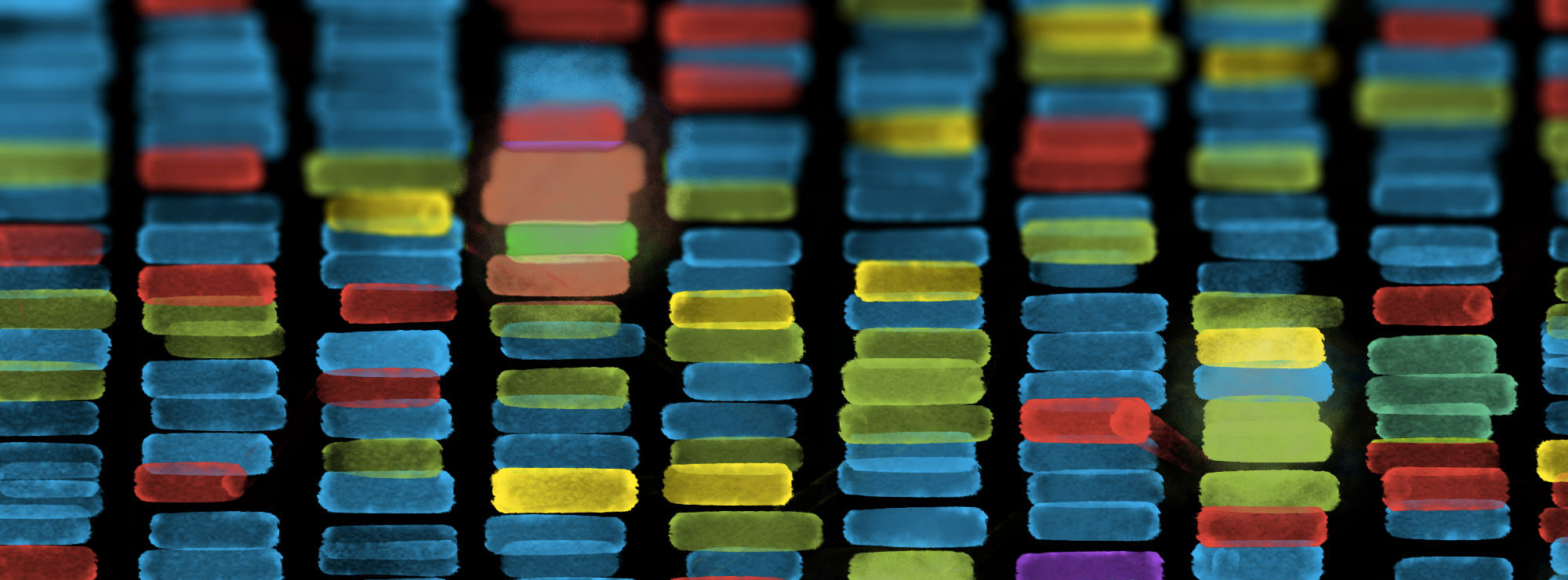 Scientists lay out plans to build an artificial human genome by 2036