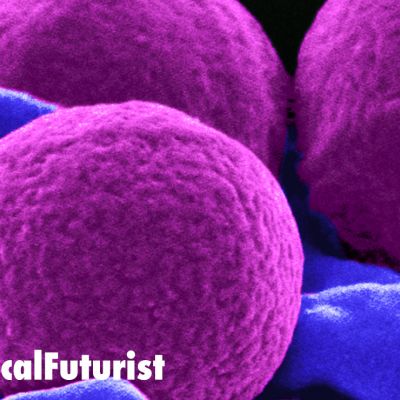 future_bacteria_biofactories