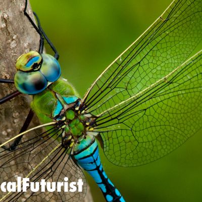 futurist_dragonfly_drone