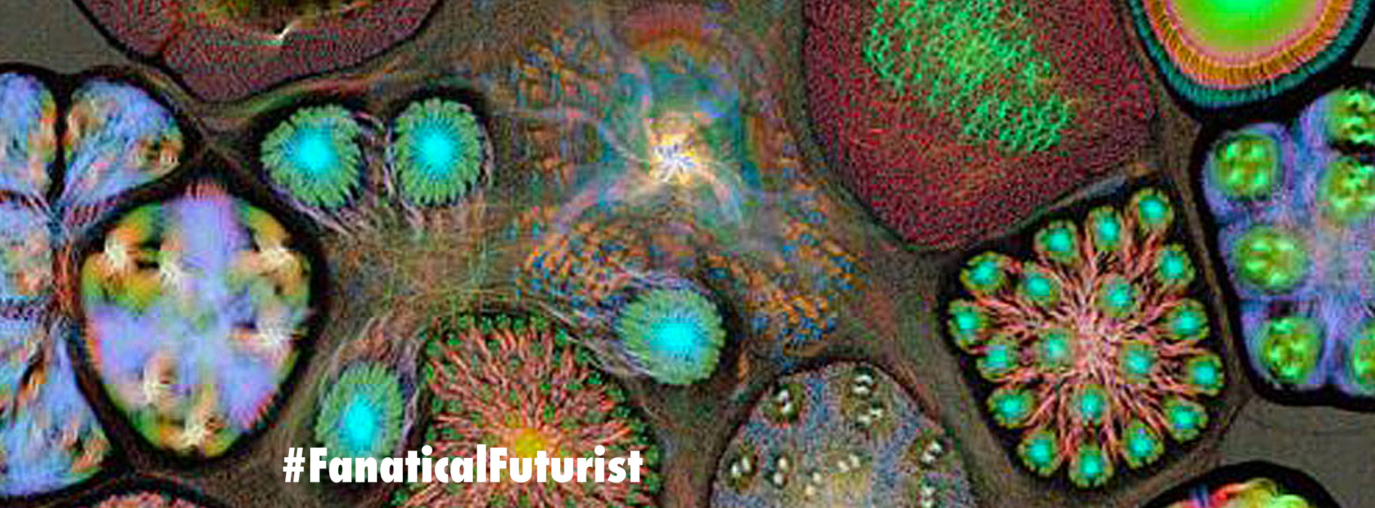 Revolutionary AI chip that replaces GPU's hailed as the "future" by ARM ...