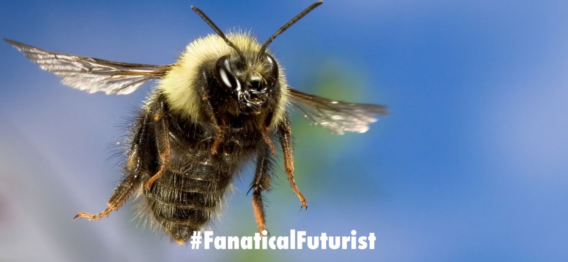 futurist_honey_bees