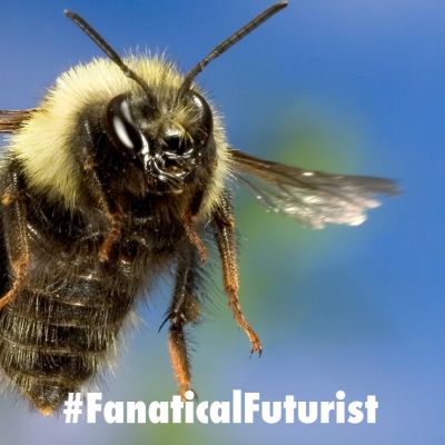 futurist_honey_bees