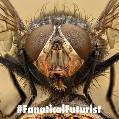 futurist_fruit_fly_poison