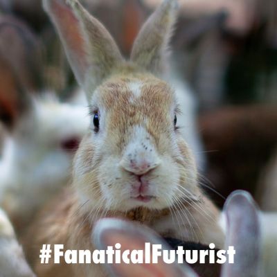 futurist_bunny