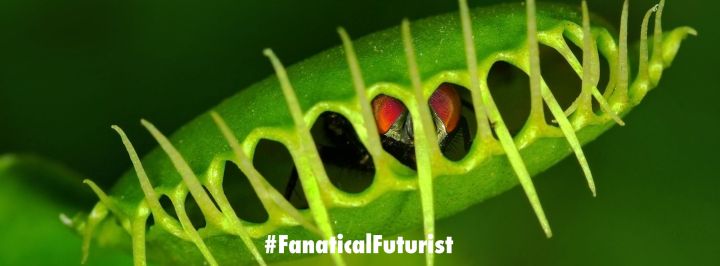 New 3D printing technique helps researchers create better shape