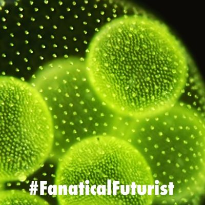 futurist_synthetic_cells
