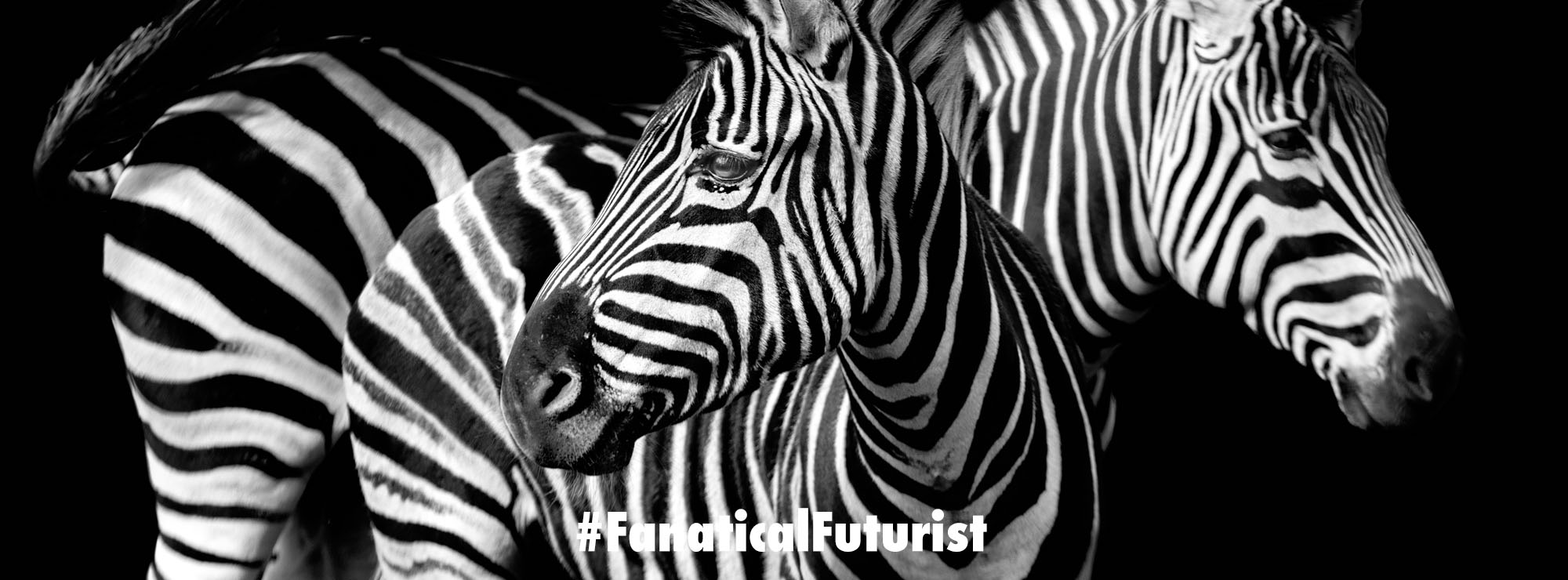 Lab grown meat could make eating TRex and Zebra burgers completely