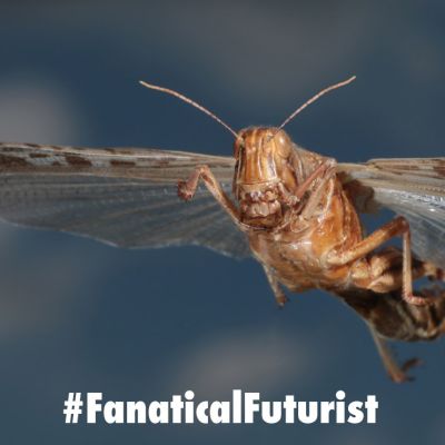 futurist_cyborg_locust
