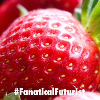 futurist_strawberry_robot