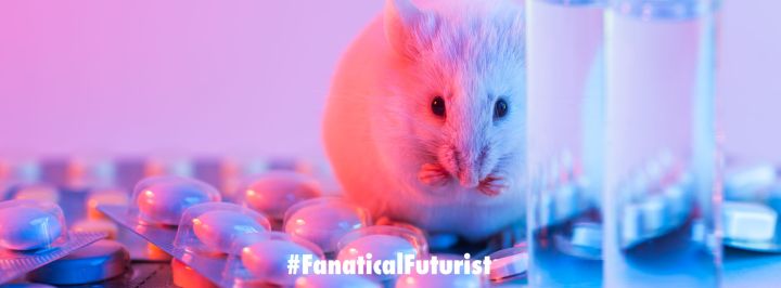 Slowly but surely AI is helping eliminate the need for animal testing ...