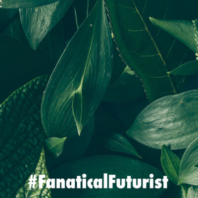 Futurist_plants_comms