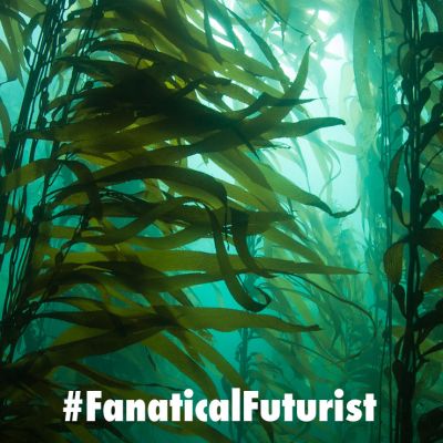 Futurist_kelp_elevator