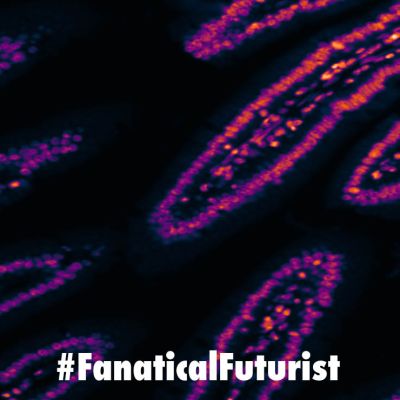 Futurist_nanotransfections