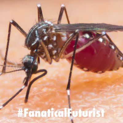Futurist_malariavaccine
