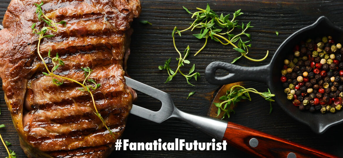 Futurist_steakair