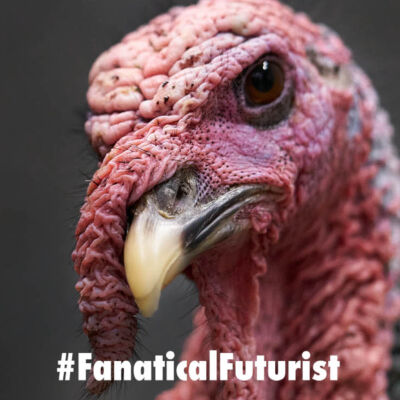 Futurist_turkey
