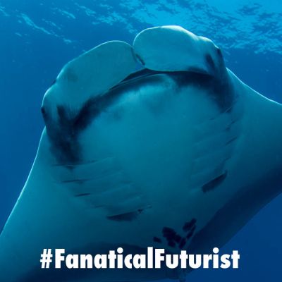 Futurist_NGmantaray