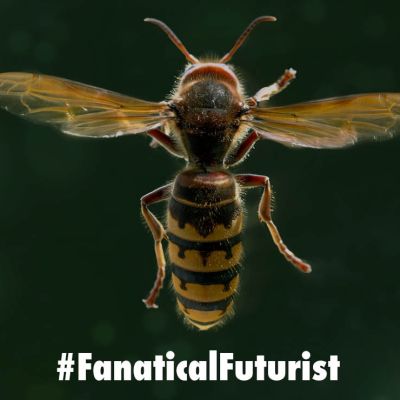 Futurist_blackhornet4