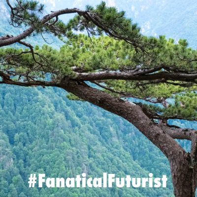 Futurist_celluloseair