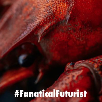 Futurist_clawdbot