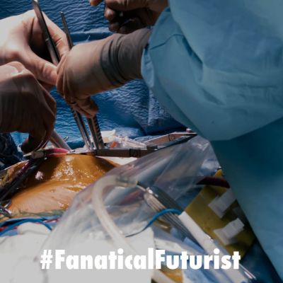 Futurist_invisblood