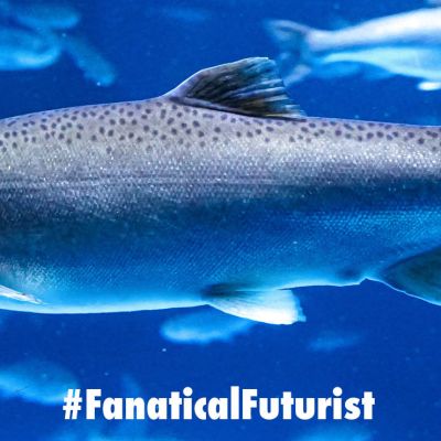 Futurist_salmonlabgrown