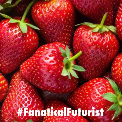 Futurist_strawberryrobot